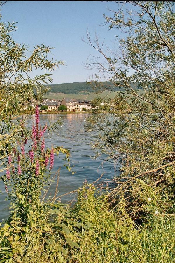 Alt Reinsport Hotel Piesport Bagian luar foto